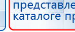 СКЭНАР-1-НТ (исполнение 02.1) Скэнар Про Плюс купить в Голицыно, Аппараты Скэнар купить в Голицыно, Медицинский интернет магазин - denaskardio.ru